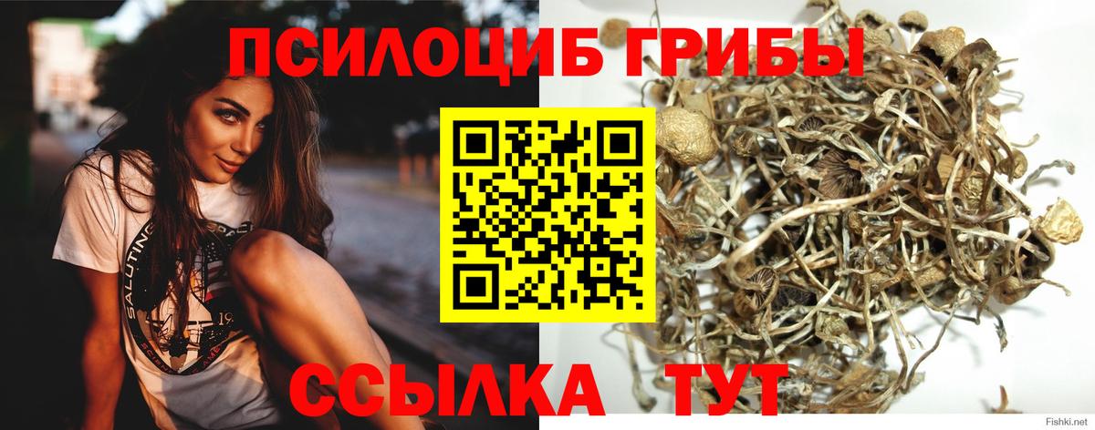 Псилоцибиновые грибы ЛСД Урус-Мартан