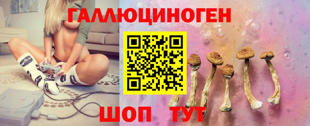 Урус-Мартан  закладки  Вход с VPN  Псилоцибиновые грибы мицелий 